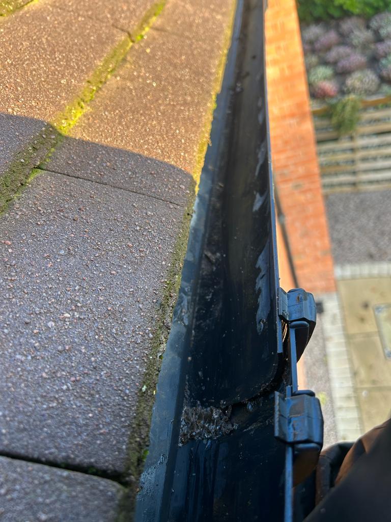 whatsapp image 2025 11 03 at 17.41.46