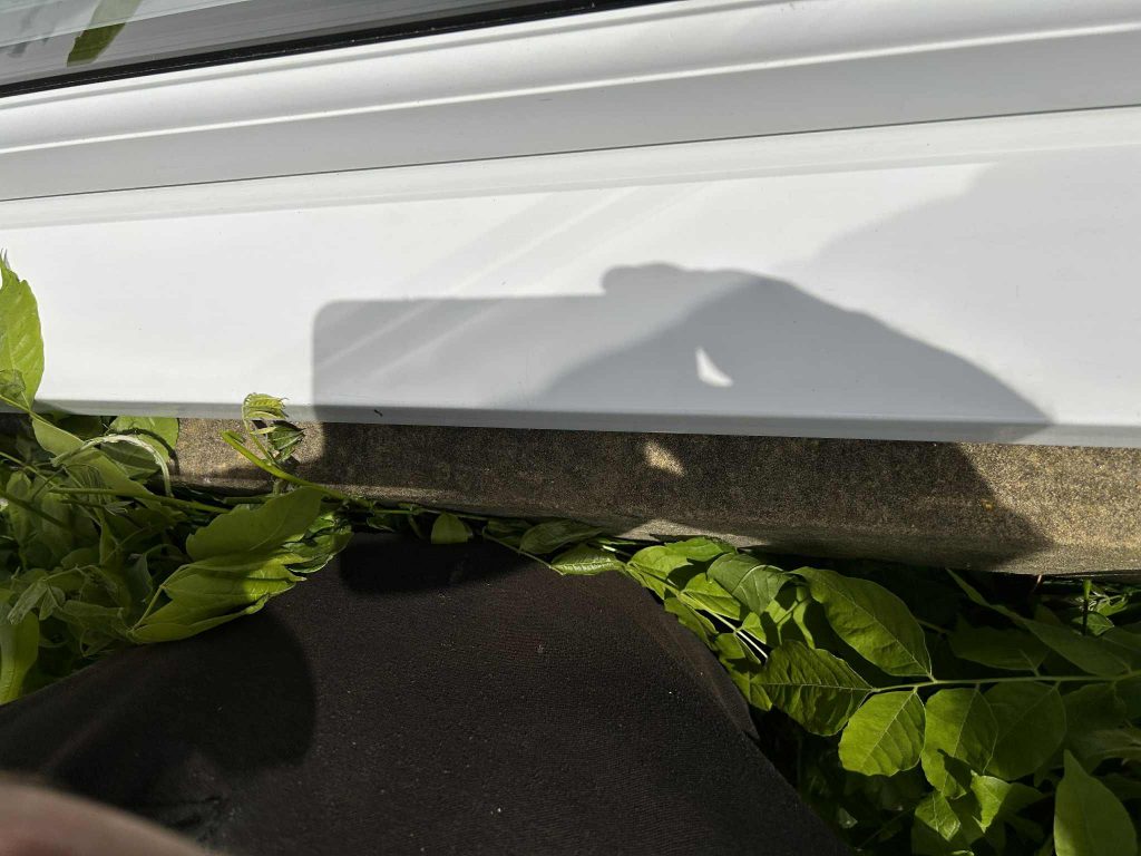 whatsapp image 2025 11 03 at 18.06.28