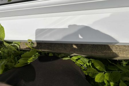 whatsapp image 2025 11 03 at 18.06.28